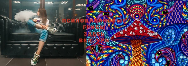 ГАЛЛЮЦИНОГЕННЫЕ ГРИБЫ Богородск