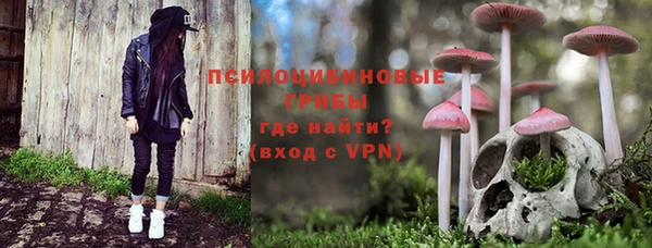 ГАЛЛЮЦИНОГЕННЫЕ ГРИБЫ Богородск