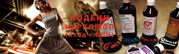 не бодяженный Бородино