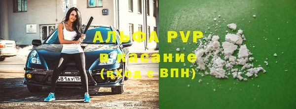 эйфоретик Аркадак