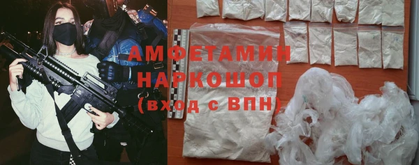 мдпв Богданович